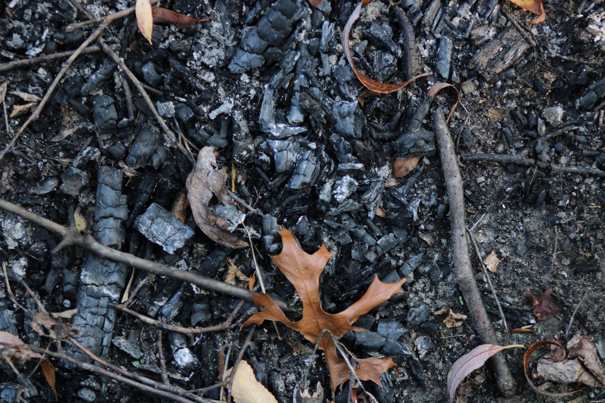 photo-1601408744111-f0c68cf55a