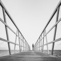 Un puente de la pérdida a la vida