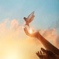 El poder de la dependencia de Dios