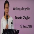 Walking Alongside